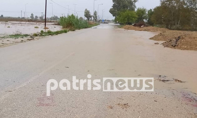 Σφοδρό πέρασμα της κακοκαιρίας από την Ηλεία: Πνίγηκαν ζώα - Πλημμύρισαν σπίτια και αποθήκες