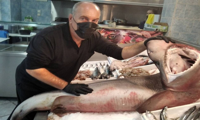 Λάρισα: Το «τέρας» σε ιχθυοπωλείο της πόλης που έγινε... ανάρπαστο! (pics+vid)