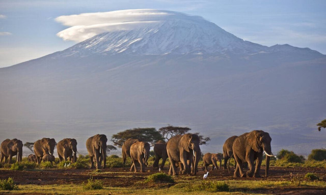 «Καμπανάκι» από τον ΟΗΕ: Εκατομμύρια άνθρωποι κινδυνεύουν από το λιώσιμο των παγετώνων της Αφρικής