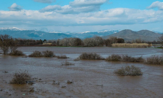 Τρίκαλα: Ζημιές σε βαμβάκι, αμπέλια και καπνό από τις βροχοπτώσεις