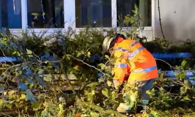 Γερμανία: Τραυματίες, πτώσεις δέντρων και χιλιάδες σπίτια χωρίς ρεύμα λόγω του τυφώνα «Ιγνάτιου»