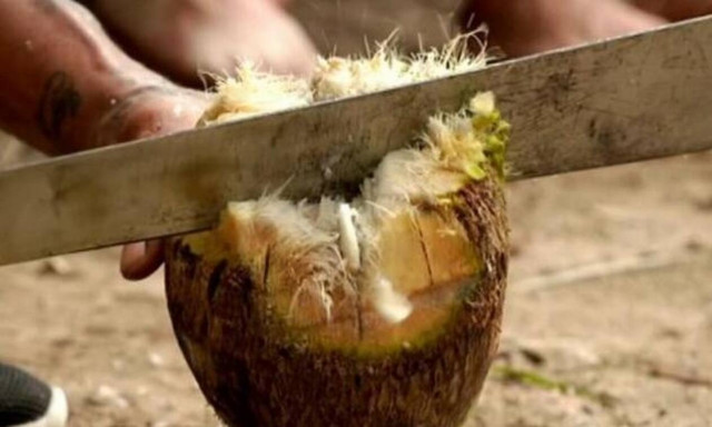 Το Survivor επιστρέφει! Στον αέρα το trailer (video)