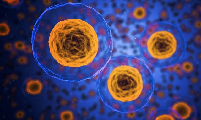 Καρκίνος: Δέσμευση Ελλάδας και Κύπρου για πρόληψη και πρόσβαση σε νέες θεραπείες