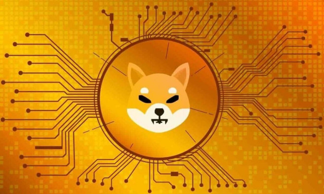 Shiba Inu: Γιατί όλοι έχουν... τρελαθεί με το κρυπτονόμισμα που εκτοξεύτηκε 1.000% σε ένα μήνα