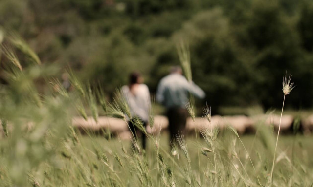 Γιώτης Π. Νικόλαος-Νεκτάριος: Εκλεκτά παραδοσιακά τυροκομικά προϊόντα Ιωαννίνων καθημερινά στα ΑΒ