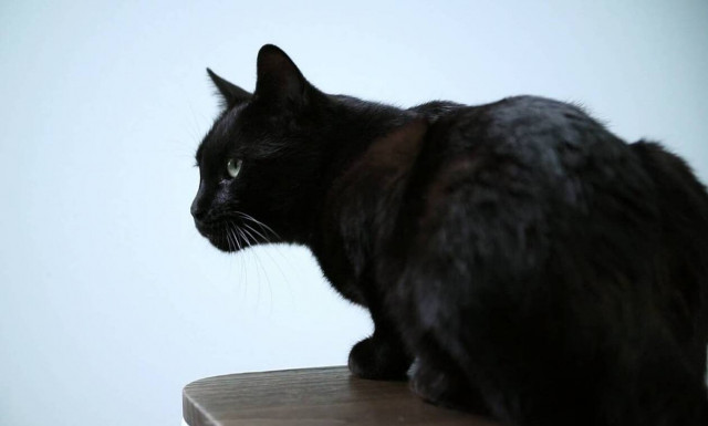 Τύχη και δεύτερη ευκαιρία πάνε μαζί;