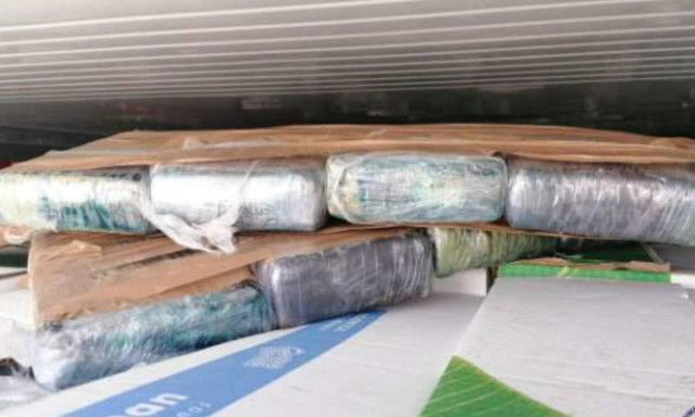 Θεσσαλονίκη: Βρήκαν 80 κιλά κοκαΐνης σε κοντέινερ με μπανάνες στο λιμάνι