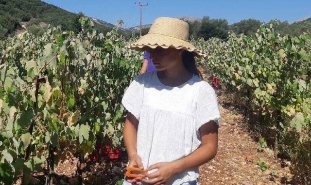 Οver the Counter podcast #3 Οίνος Ευφραίνει Καρδίαν;