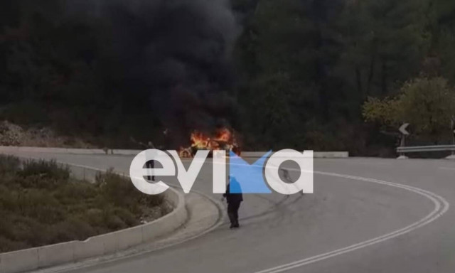 Εύβοια: Φωτιά σε αυτοκίνητο – Καίγεται το δάσος