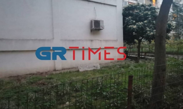 Κτηνωδία στη Θεσσαλονίκη: Δηλητηρίασαν τουλάχιστον 20 γάτες σε λίγες ημέρες