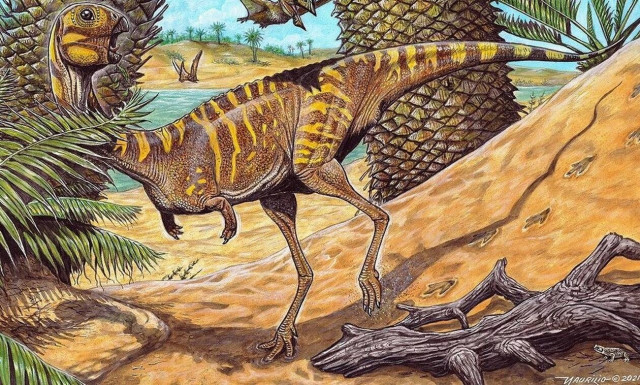 Βραζιλία: Ανακαλύφθηκε νέο είδος σπάνιου δεινοσαύρου - Δεν είχε δόντια