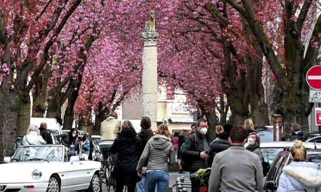Έρευνα: Μέχρι πόσους βαθμούς δροσίζουν τα δέντρα τις ευρωπαϊκές πόλεις