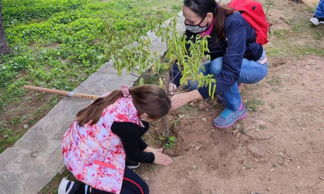 Teleperformance Greece - Δενδροφύτευση στον Λόφο Πολιτισμού στον Άλιμο