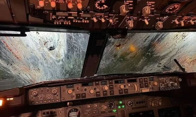 Πτήση θρίλερ: Αεροπλάνο συγκρούστηκε με σμήνος πουλιών - Πήρε φωτιά ο κινητήρας