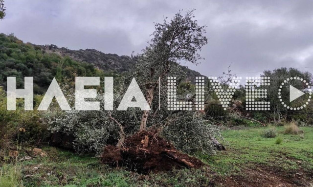 Ηλεία: Κυβερνητικό κλιμάκιο επισκέπτεται τις περιοχές που επλήγησαν από την κακοκαιρία