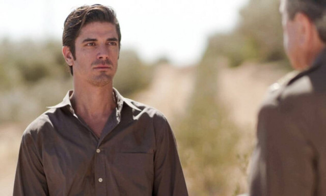 Άγριες Μέλισσες Λάμπρος