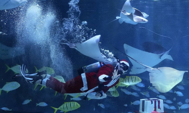 Νότια Κορέα: Δύτης ντυμένος Αη-βασίλης «υποδέχεται» τα Χριστούγεννα μαζί με τα...ψάρια ενυδρείου