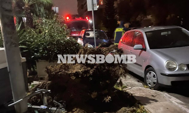 Καιρός: Προβλήματα από την κακοκαιρία στην Αττική - Δέντρα έπεσαν σε οχήματα στη Νέα Σμύρνη