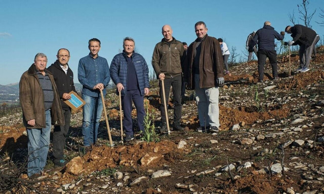 Η Παπαστράτος φυτεύει 70.000 δέντρα