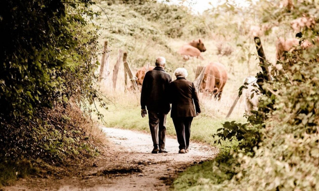 Πρόταση «βόμβα» του ΟΟΣΑ: Να αυξηθούν τα όρια ηλικίας για συνταξιοδότηση - Ποιους αφορά