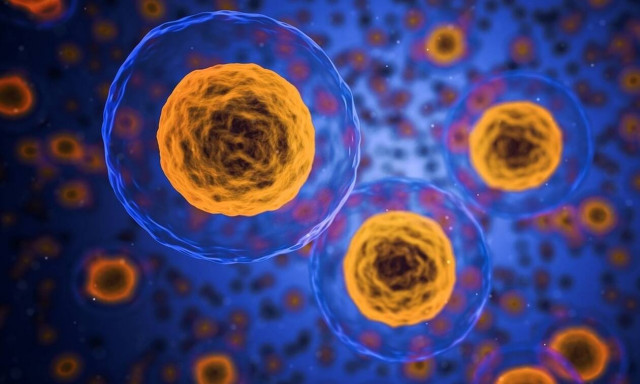 Γιατί οι υπέρβαροι κινδυνεύουν πιο πολύ από τον κορονοϊό – Στα λιποκύτταρα η απάντηση