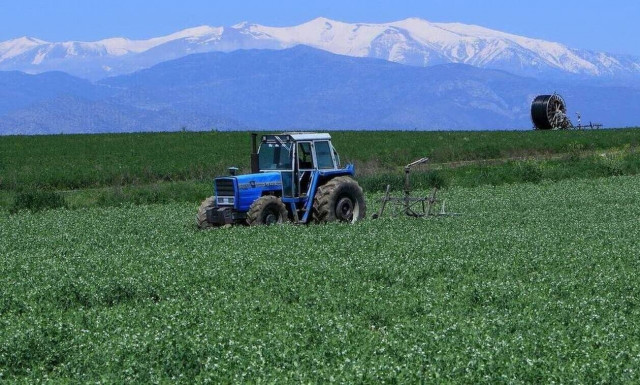Παράταση για το πρόγραμμα «Νέων Αγροτών» - Πάνω από 18.800 οι αιτήσεις (πίνακας)