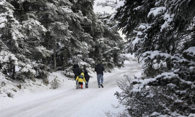 Καιρός: Στα «λευκά» η Πάρνηθα - Σε ποιο σημείο έχει διακοπεί η κυκλοφορία οχημάτων