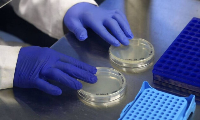 Δημόπουλος: H Όμικρον θα οδηγήσει σε αύξηση των διαγνώσεων μέσα στους επόμενους μήνες