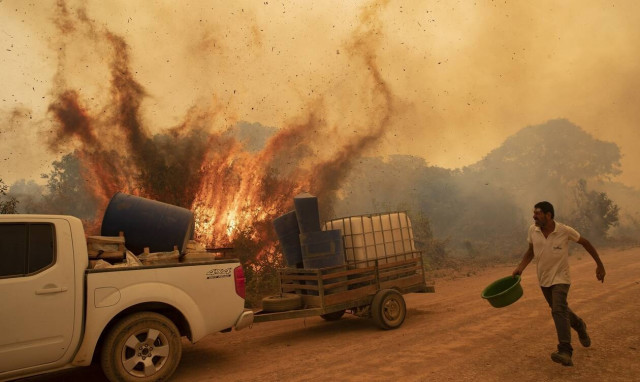 Bραζιλία: Οι πυρκαγιές του 2020 σκότωσαν 17 εκατομμύρια ζώα - Δραματικές εκτιμήσεις επιστημόνων