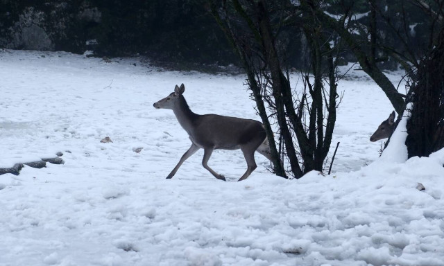 Μερομήνια: Με τι καιρό θα κάνουμε Πρωτοχρονιά - Πώς θα «υποδεχτούμε» τον Ιανουάριο