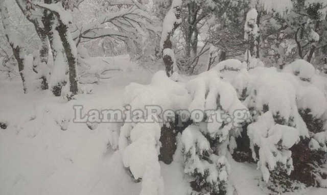 Κακοκαιρία «Κάρμελ»: Στα «λευκά» πολλές περιοχές της χώρας – Live εικόνα από χιονισμένα σημεία