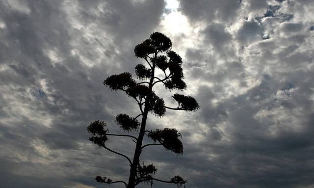 Ο καιρός σήμερα Τετάρτη, 22 Δεκεμβρίου