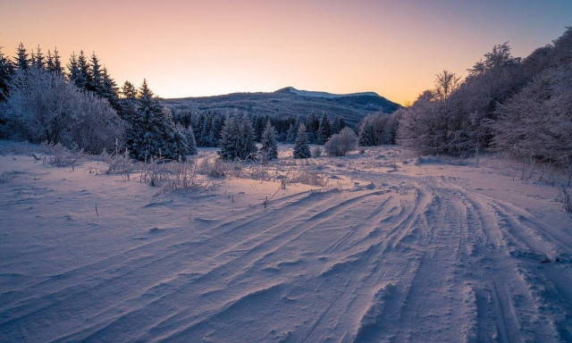 Χειμώνας 2021 από τη Google