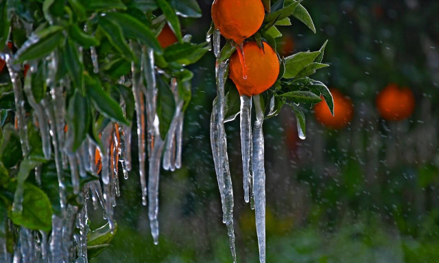 Καιρός: Ισχυρός παγετός στη Βόρεια Ελλάδα - Πού έδειξε -10 βαθμούς