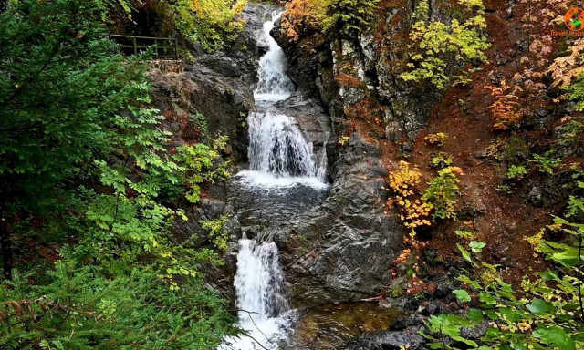 Οι καταρράκτες Μπουλουβάρου και η Μηλιά με τη συγκινητική ιστορία της βαλσαμωμένης αρκούδας
