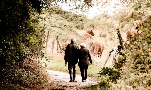 Αναδρομικά: Νέο «κύμα» πληρωμών πριν την Πρωτοχρονιά - Ποιοι συνταξιούχοι θα δουν αυξήσεις