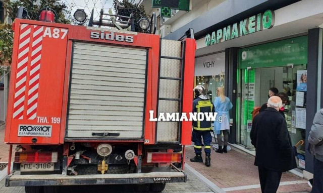 Αναστάτωση στη Λαμία: Γεράκι «μπούκαρε» σε φαρμακειο