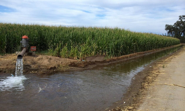 Νιτρορύπανση