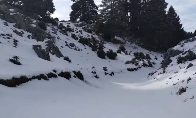 Οροπέδιο Ταναΐδας: Ένας ορεινός παράδεισος στην Εύβοια (video)