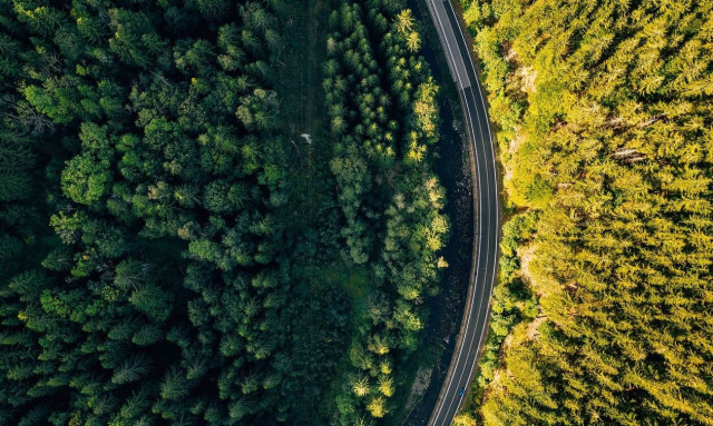 Φθιώτιδα: Μητέρα και κόρη χάθηκαν στα βουνά και είδαν το αυτοκίνητό τους να καίγεται