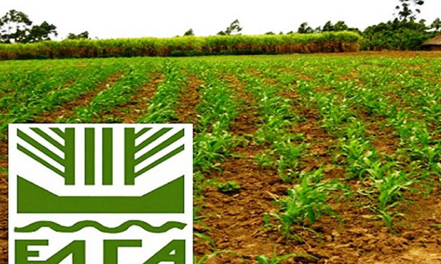 Προσλήψεις στον ΕΛΓΑ: Λήγει σήμερα (7/1) η προθεσμία αιτήσεων