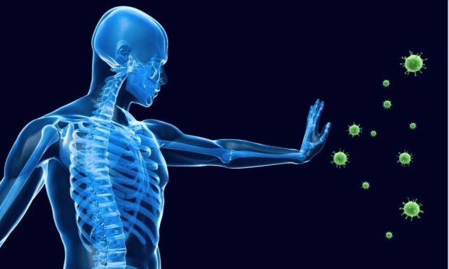 Αυτά είναι τα τρόφιμα που ενισχύουν το ανοσοποιητικό μας σύστημα