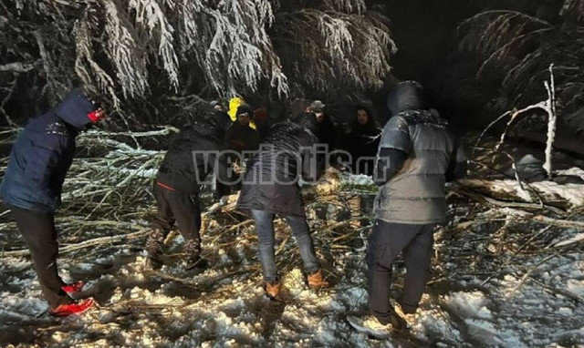 Ημαθία: Πτώσεις δέντρων έκλεισαν τον δρόμο για Σέλι – Εγκλωβίστηκαν οδηγοί (pics-vid)