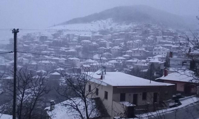 Κακοκαιρία Διομήδης: Πτώσεις δέντρων στην Ημαθία, κλειστά σχολεία στην Ελασσόνα και… λευκές εικόνες