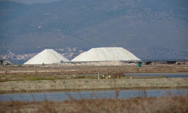 Χειμώνας στους υγρότοπους της Μυτιλήνης - Εξορμήσεις παρατήρησης της φύσης