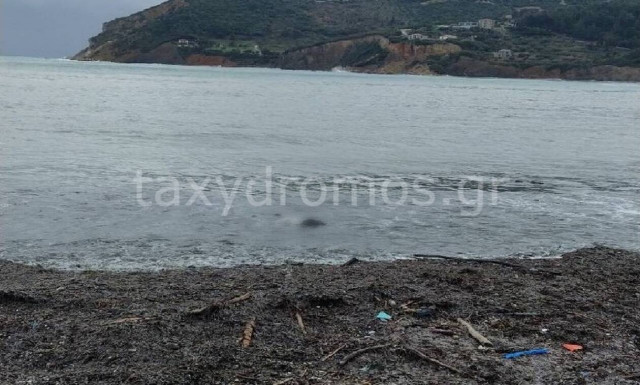 Στον αγνοούμενο μοναχό από το Άγιο Όρος ανήκει η σορός που εντοπίστηκε στη Σκόπελο