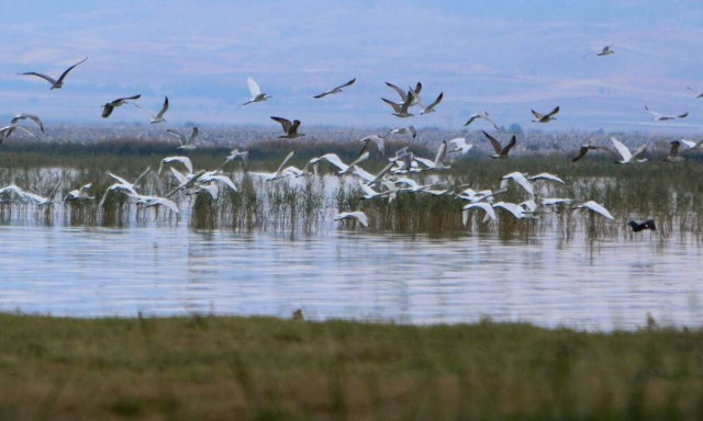 Η τεχνητή λίμνη Κάρλα που δίνει άλλο αέρα στην περιοχή της ανατολικής Θεσσαλίας