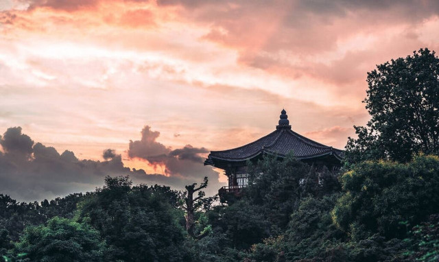 Η Σεούλ έχει ομορφιές που σε αναγκάζουν να τις φωτογραφίσεις
