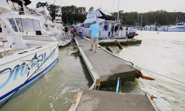 Τόνγκα: Παρασύρθηκε από το τσουνάμι ενώ προσπαθούσε να σώσει τα σκυλιά της - Νεκρή 50χρονη