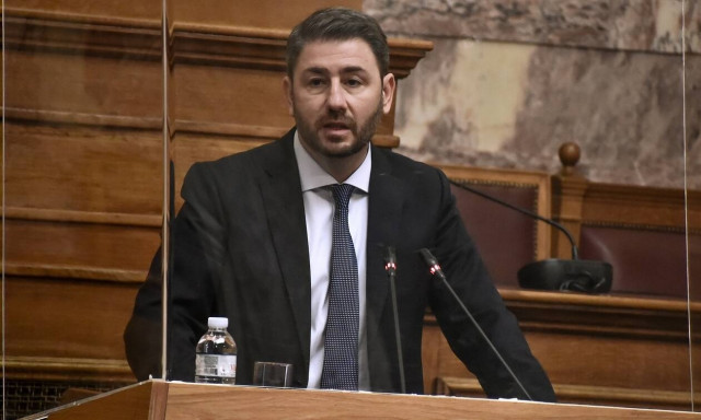 Νίκος Ανδρουλάκης